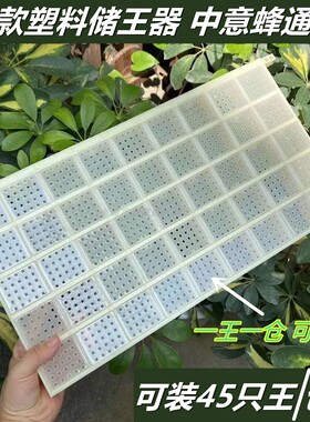 蜜蜂多功能塑料储王器 关王器蜂王存储盒 介王控王囚王笼蜂具包邮