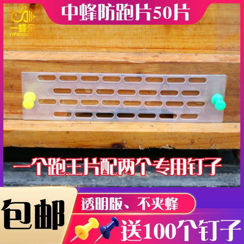 中蜂防跑王片塑料蜂箱巢门蜂王防跑片防逃框蜜蜂防逃器养蜂工具