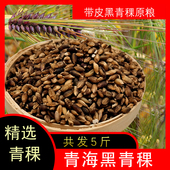 雪域诚信青海特产五谷粗杂粮非麦仁带皮黑青稞原粮5斤 包邮