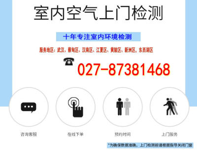 武汉甲醛检测上门室内空气质量检测新房装修污染检测 上门测甲醛