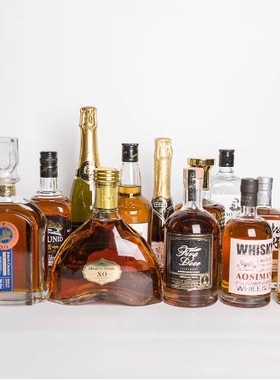 轻奢现代样板间酒瓶酒柜酒窖层板装饰高端威士忌香槟仿真假酒摆件