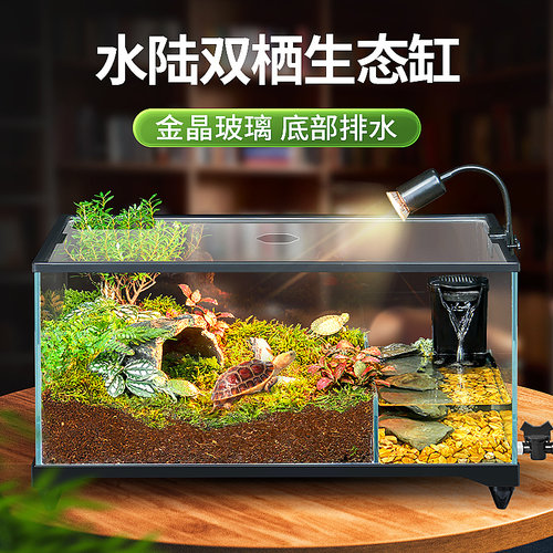 玻璃生态水陆两栖鱼缸底排造景