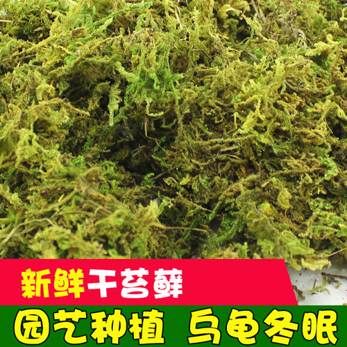 干苔藓造景运输垫材多用保湿