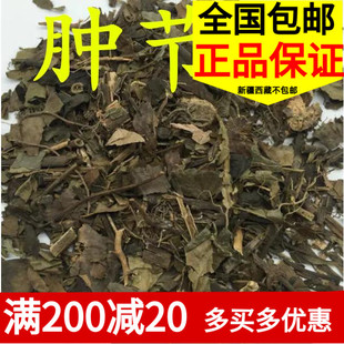 中药材草珊瑚肿节风九节茶九节风接骨莲500g散装包邮无硫正品新货