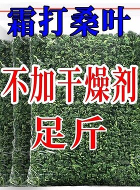 正品桑叶茶500g霜打秋后新鲜干