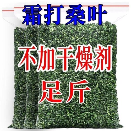 正品桑叶茶500g霜打秋后新鲜干