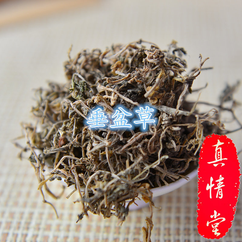中药材垂盆草 500克  2 斤包邮