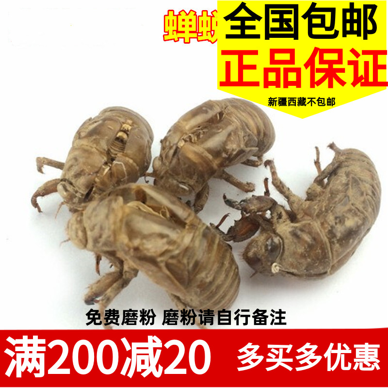蝉蜕包邮 新货 中药材水洗蝉蜕皮 金蝉衣 知了狗皮 蝉退虫退