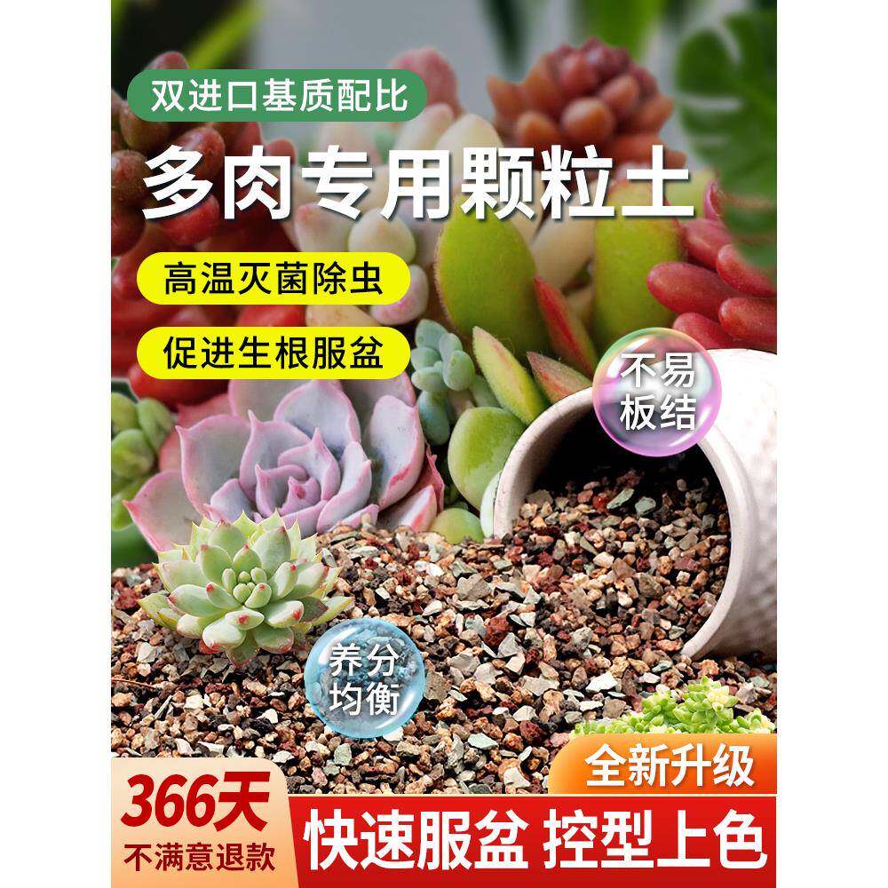 多肉专用颗粒土营养土种多肉土肥料专用肥铺面石纯颗粒通用彩虹石