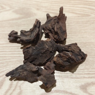 紫柚木苔藓微景观素材