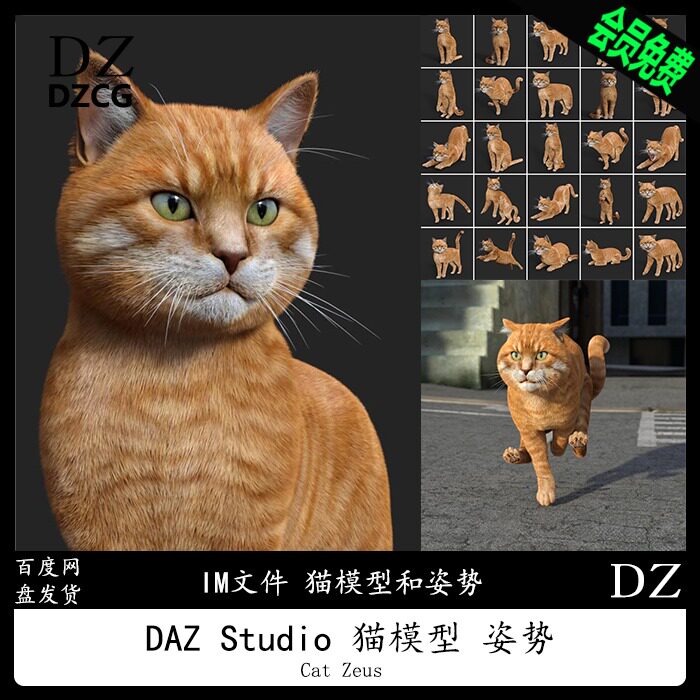 daz3d 猫咪 动物体型模型 姿势 im安装包 cat zeus 新品冲冠 a415