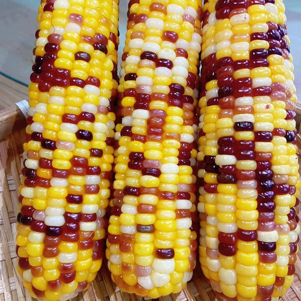 五彩甜糯玉米 - 封面