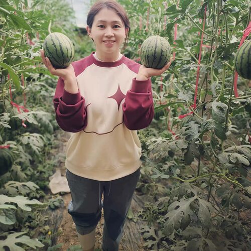 【京东快递】精品小西瓜冰糖心脆甜口的（特价建议拍两份口感好