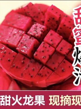 海南金都一号火龙果。大果甜度高