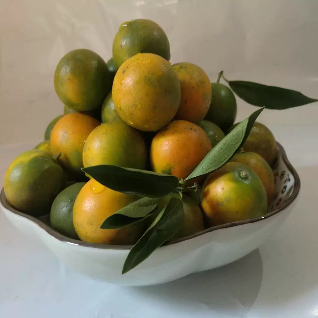 广西融安脆皮金桔皮略厚甜度高脆甜可口（个头不大，口感好）