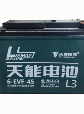 硅胶36V12AH电瓶天能品牌电动车