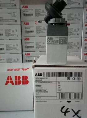 ABB原装正品凸轮开关，OC25G06PNBN00NU3；物料号：25000002
