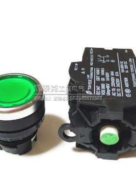 正品上海天逸TAYEE自复位带灯按钮LA42PD-22/G DC24V 2开2闭