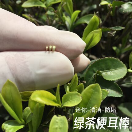 田源优品绿茶梗耳棒无金属防敏养耳洞神器学生隐形耳针睡觉免摘耳