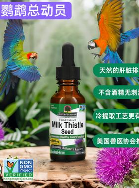 鹦鹉奶蓟草滴剂天然肝精护肝解毒 哈里森推荐美国Nature's Answer