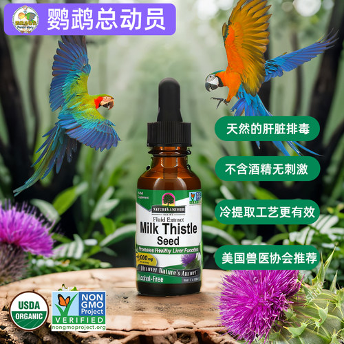 鹦鹉奶蓟草滴剂天然肝精护肝解毒 哈里森推荐美国Nature's Answer