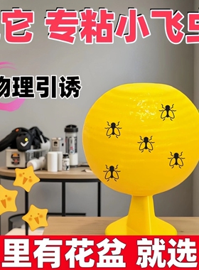 物理引诱粘蝇纸家用灭蚊蝇神器黄色粘虫板物理捕虫器环保捕虫神器