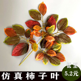 高仿真柿子叶蒙古栎叶假树叶子假树枝子绿植影视拍摄道具橱窗布景