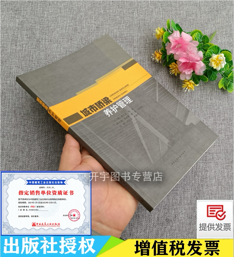 2021年新书 城市桥梁养护管理 城市桥梁基本知识养护项目管理巡查检查维修施工养护作业安全养护资料设施管理养护机械防灾应急管理