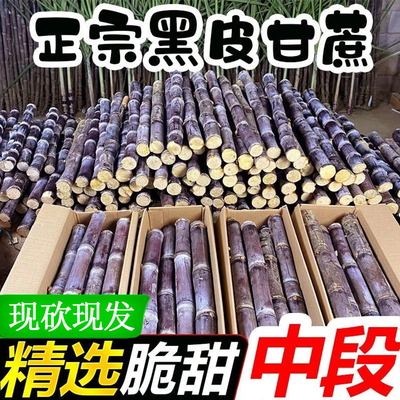正宗广西黑皮甘蔗新鲜现砍现发整根代切当季水果农家肥种植应季,水产肉类/新鲜蔬果/熟食,甘蔗,淘宝优惠券,粉丝福利购,淘宝优惠卷