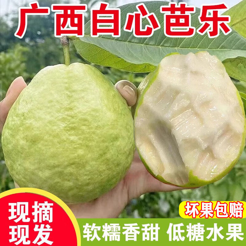 广西白心芭乐水果新鲜当季大果软心番石榴芭乐果软心香甜奶油珍珠