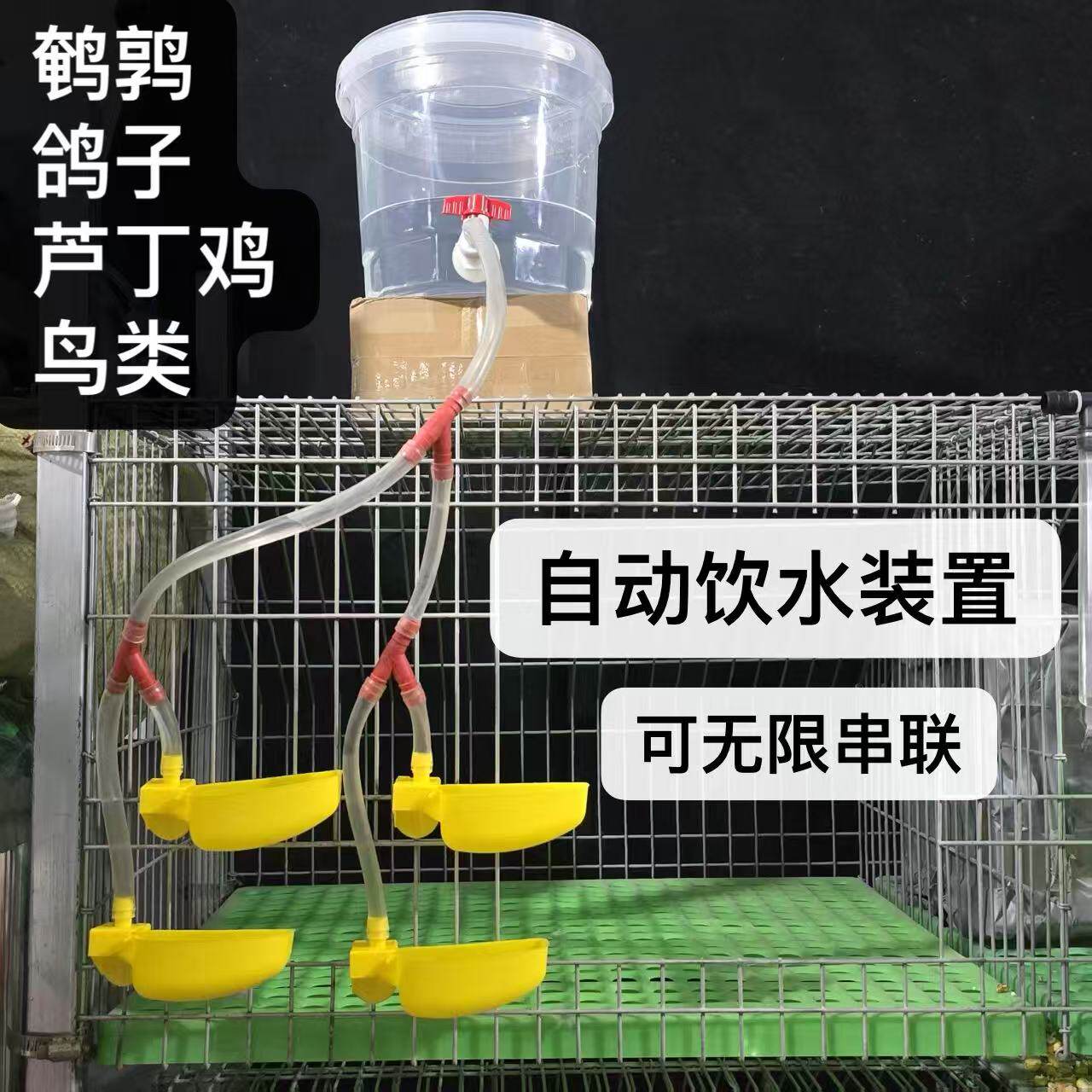 鸽子自动饮水碗带桶套装喝水碗鸡鸽子鹌鹑家禽饮水器水碗鸽笼挂式,宠物/宠物食品及用品,鸟禽喂食器/喂水器,淘宝优惠券,粉丝福利购,淘宝优惠卷