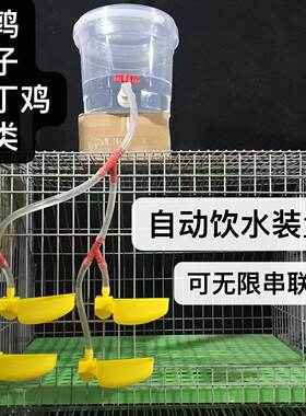 鸽子自动饮水碗带桶套装喝水碗鸡鸽子鹌鹑家禽饮水器水碗鸽笼挂式