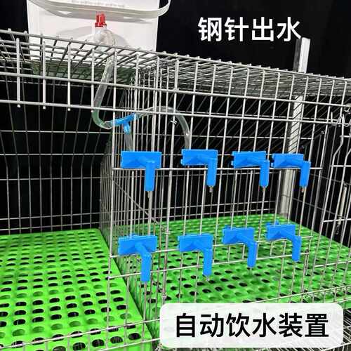 龙猫鹌鹑鸡鸭鸽兔兔神器