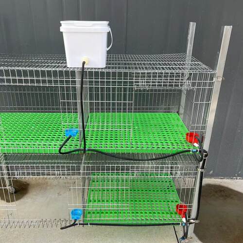 兔子饮水器鸡鸭鸽鹌鹑自动喂水器龙猫荷兰猪专用神器兔兔水碗
