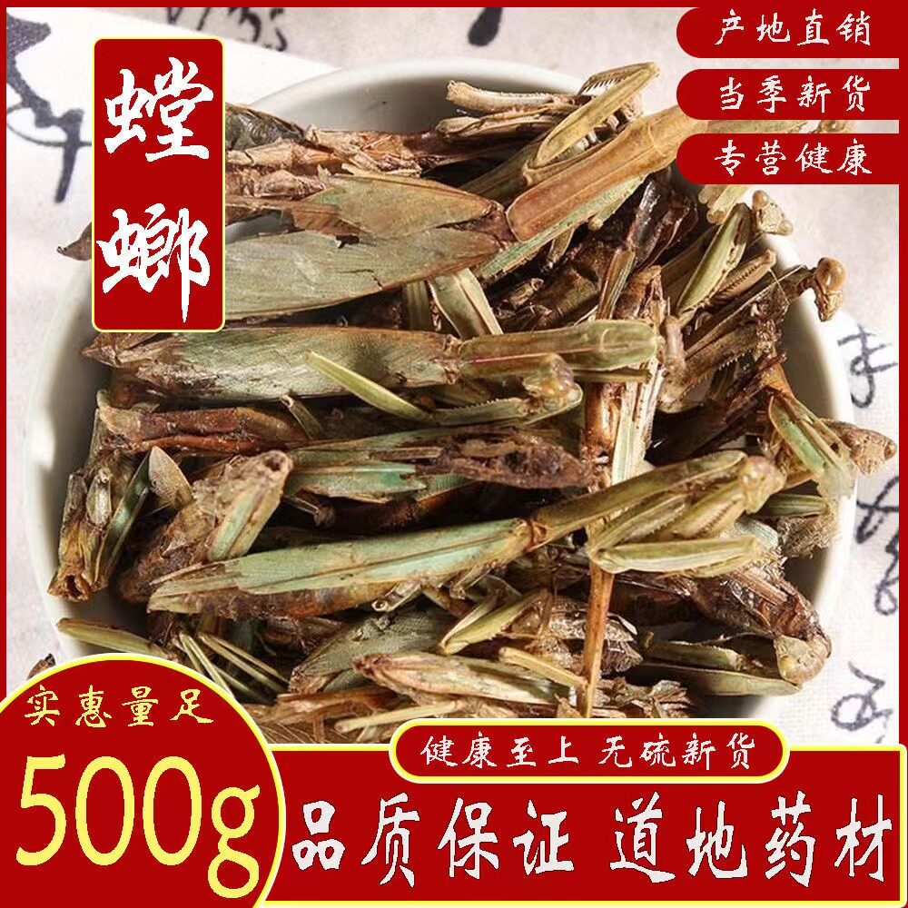 中药材螳螂 中药材螳螂干 刀螂 昆虫类保 质 保 量品种齐全
