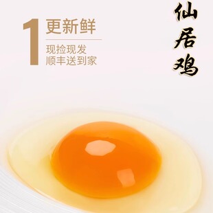 正宗仙居三黄鸡土鸡蛋散养自养农家新鲜笨柴草鸡蛋当天现捡30枚