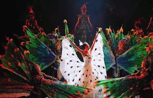 确认收货后返 云南映象景区门票vip甲乙丙票不能退改 运费10元