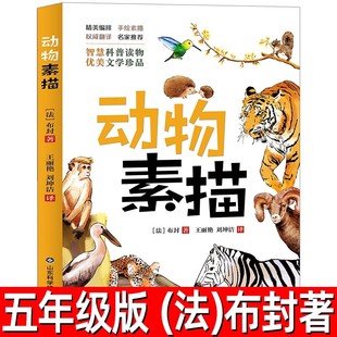 动物素描书 法国布封著 小学生五年级上册必读课外书阅读书籍 正版 布封博物笔记 爱阅读丛书布封博物笔记 世界图书出版社公司ad