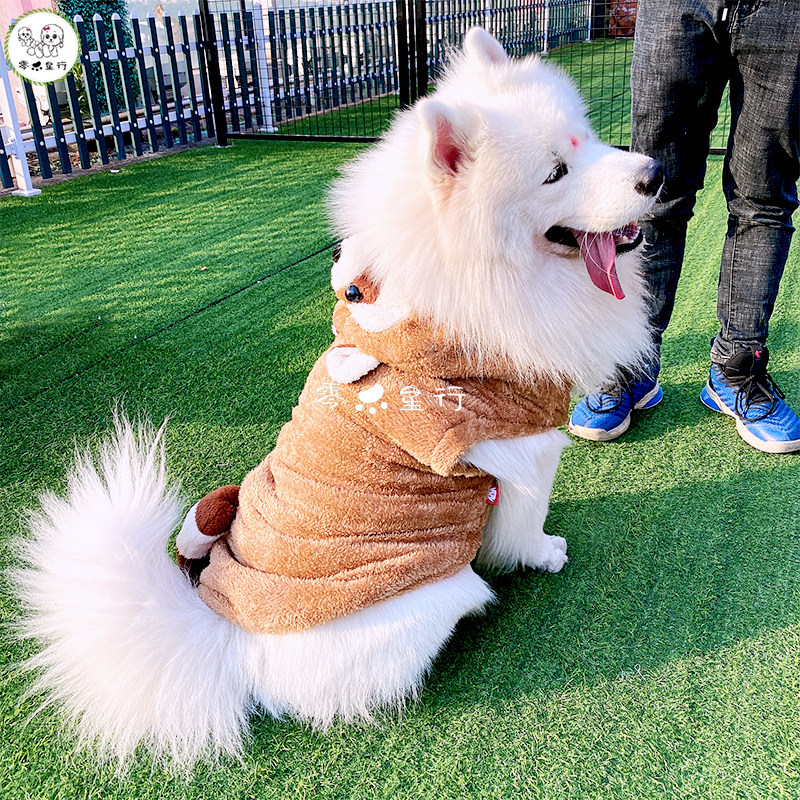 金毛泰迪萨摩耶宠物狗狗衣服加绒加厚冬装可爱浣熊大中小型犬棉服
