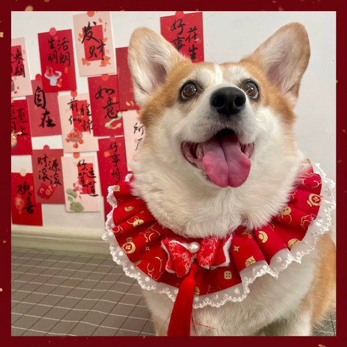 宠物圣诞新年喜庆围巾围脖狗颈饰