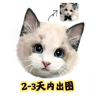 狗狗猫咪动漫卡通设计 约稿头像定制画像漫画q版 色块宠物手绘