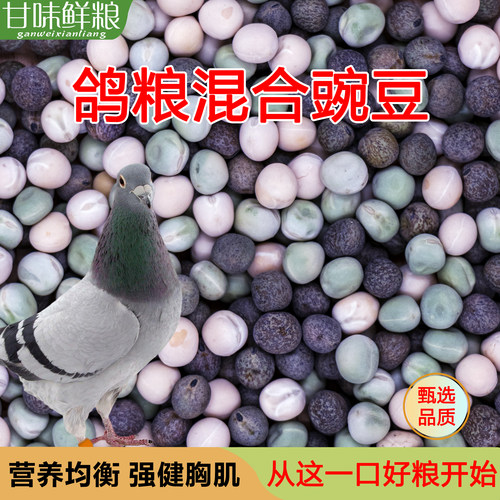 鸽粮混合豌豆粒麻豌豆赛鸽子饲料