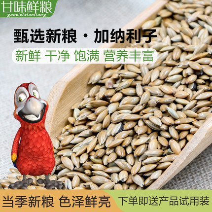 加纳利子鹦鹉鸟粮鸟食小太阳玄风牡丹文鸟虎皮鹦鹉种子粮食鸟饲料