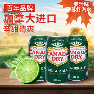加拿大Canada Dry姜汁味汽水碳酸苏打水干姜苏打水整箱气泡水饮料