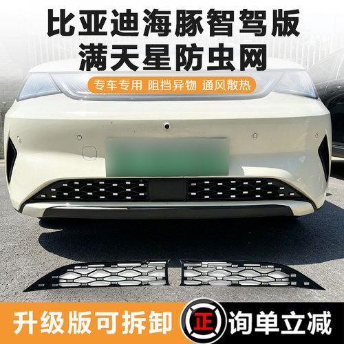 比亚迪海豚满天星防虫网智驾版