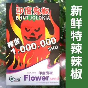 魔鬼辣椒种子印度鬼椒超辣的辣椒品种阳台庭院盆栽蔬菜籽四季种植