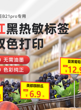 精臣B1Pro/B2Pro/B21Pro红黑热敏标签纸双色打印超市烟草美妆价格