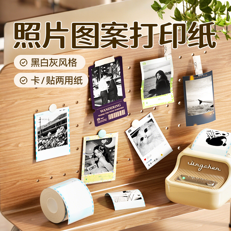 【B系Pro】精臣相片纸标签打印纸图片