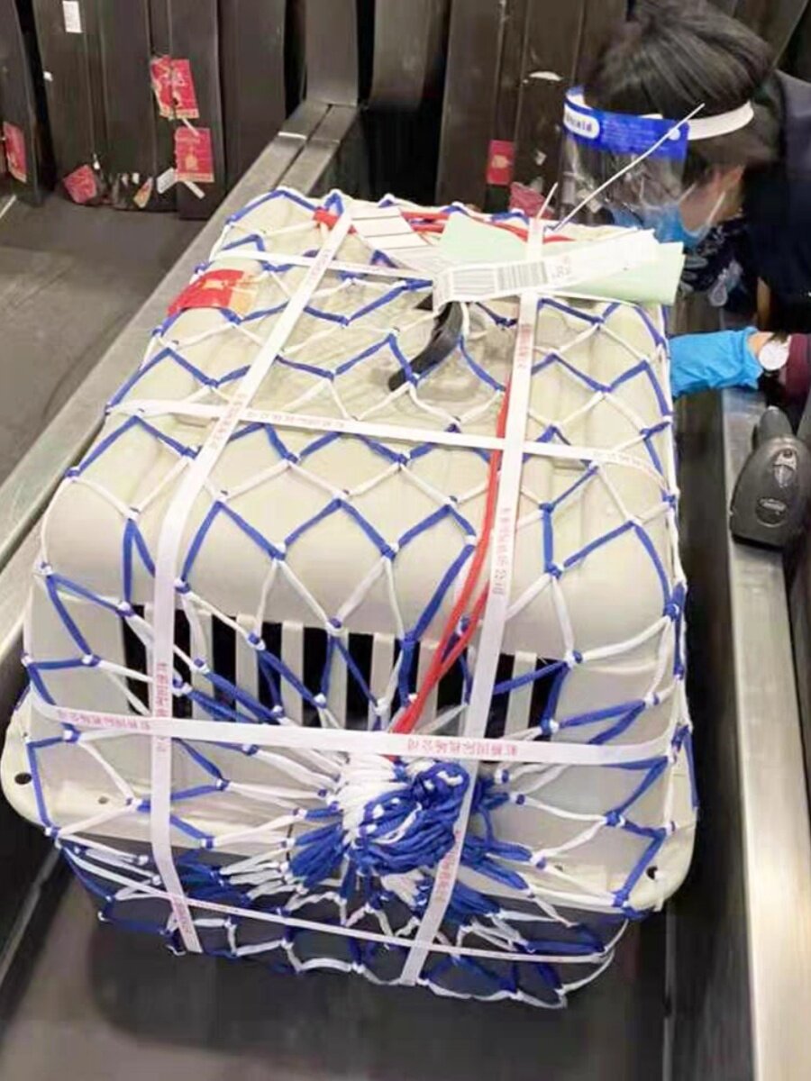宠物航空箱子托运网兜防护网必需品小网孔绳子加粗包邮送五根扎带