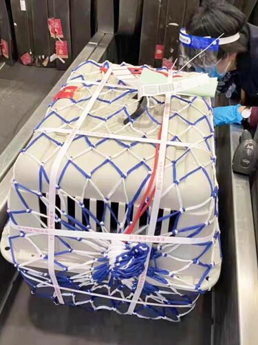 宠物航空箱子托运网兜防护网必需品小网孔绳子加粗包邮送五根扎带